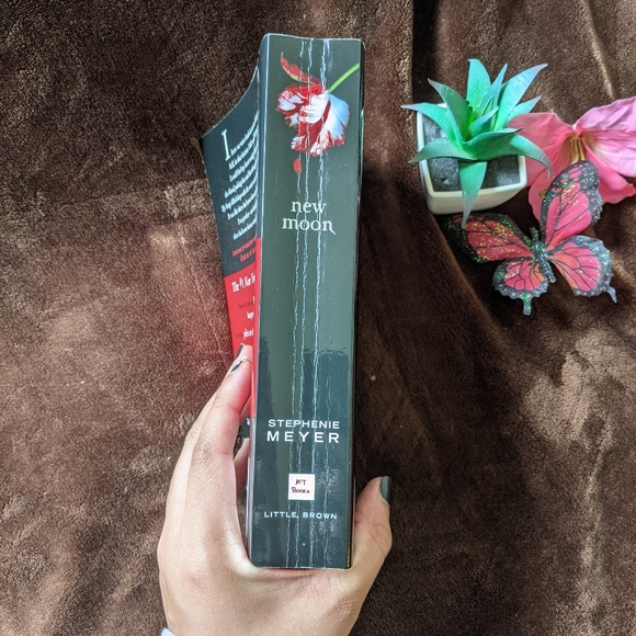 New Moon and Eclipse by Stephenie Meyer - Picture 7 of 11